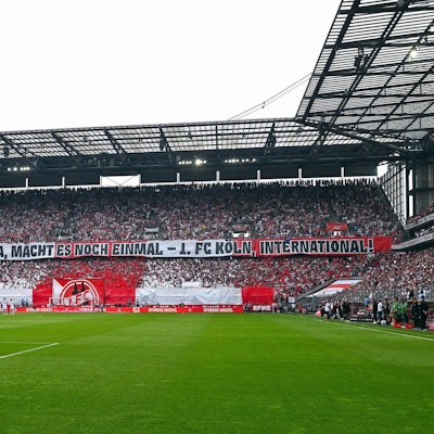 Neuer Inhalt