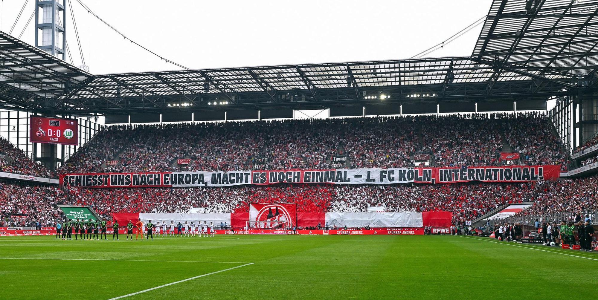 Neuer Inhalt