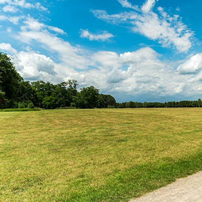 20200707-ARO-MerheimerHeide-2