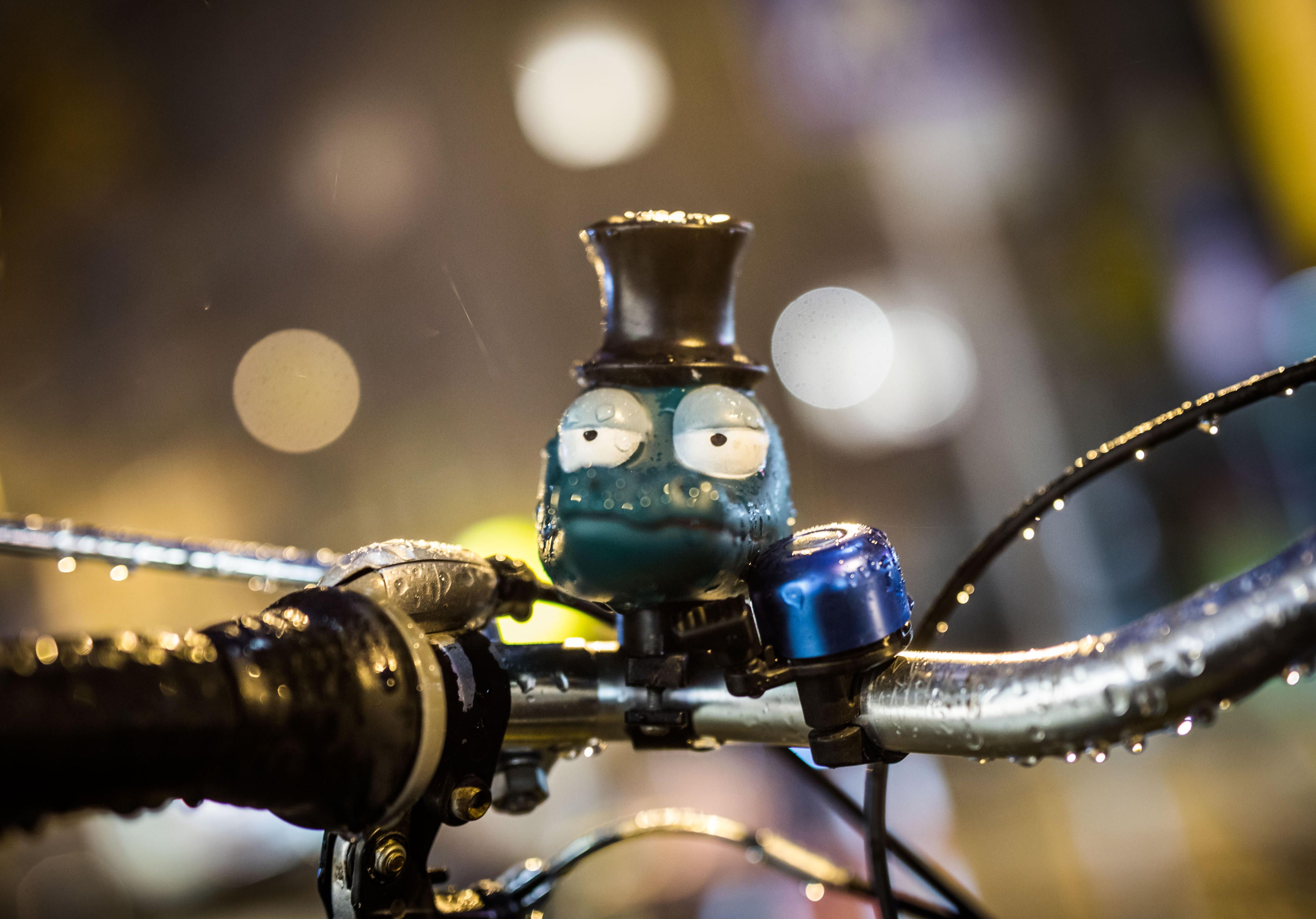 FAhrrad im Herbst dpa
