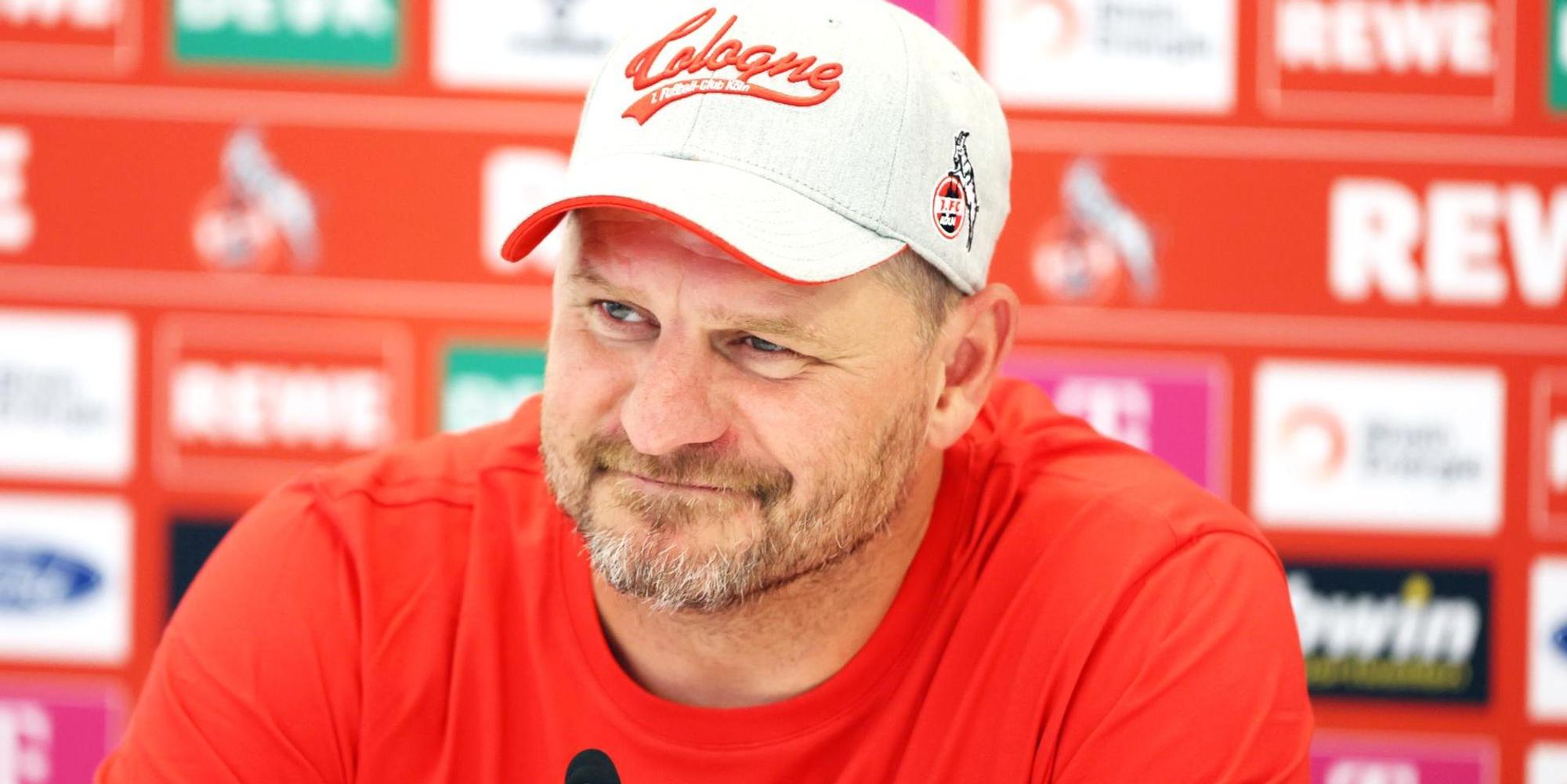 Baumgart in Rot