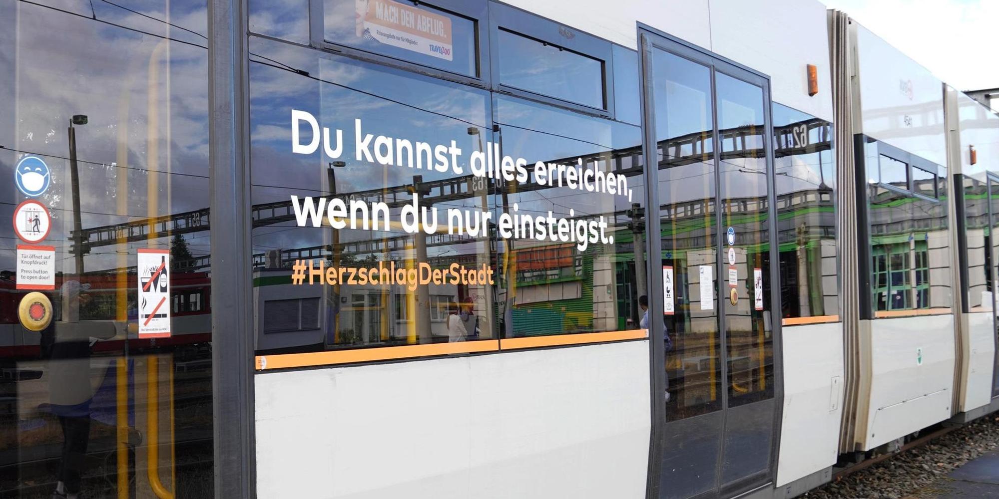 Neuer Inhalt (3)