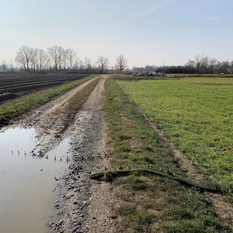 Nagelbretter Kerpen Hambach