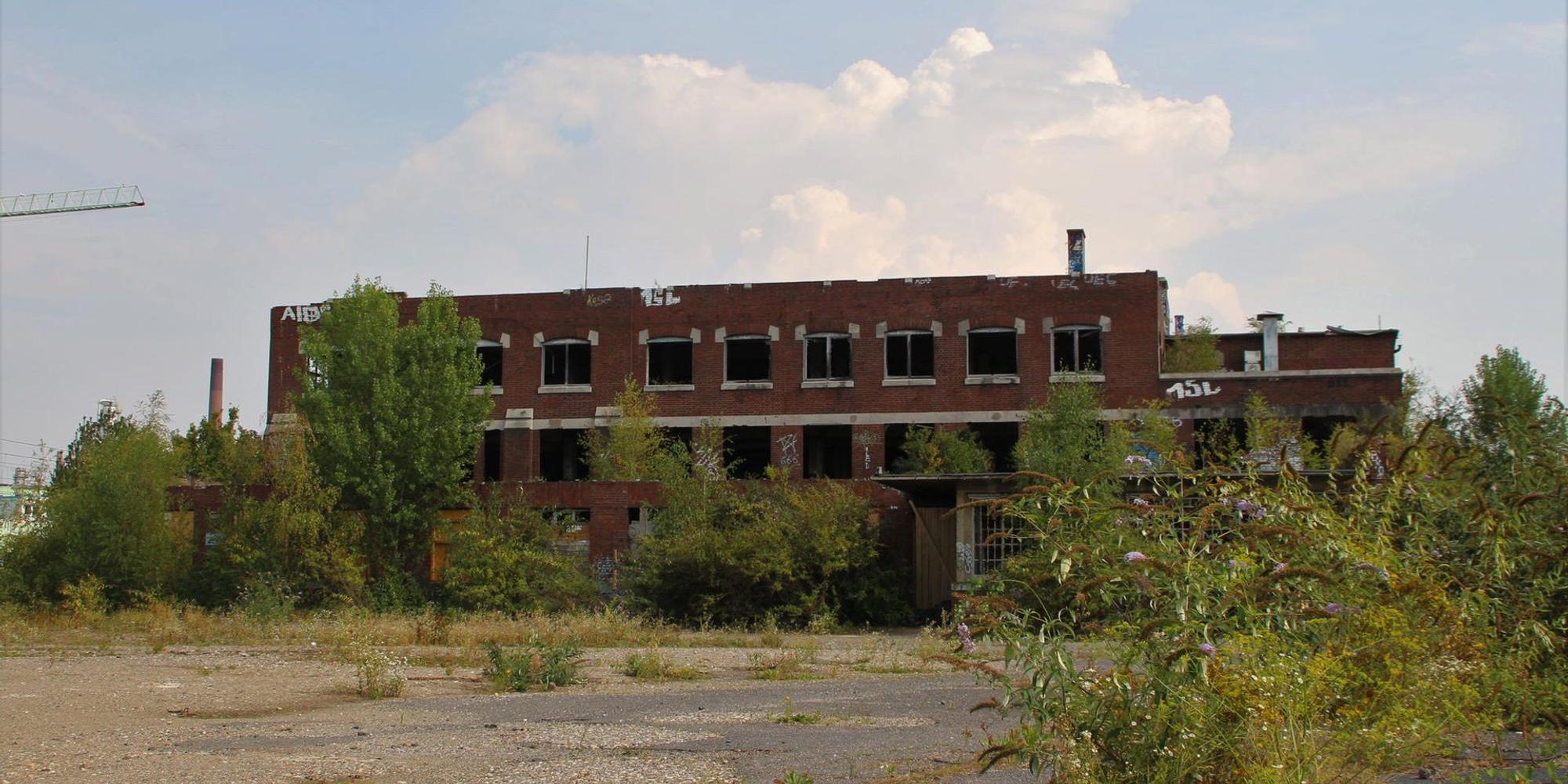 we-norton(4)