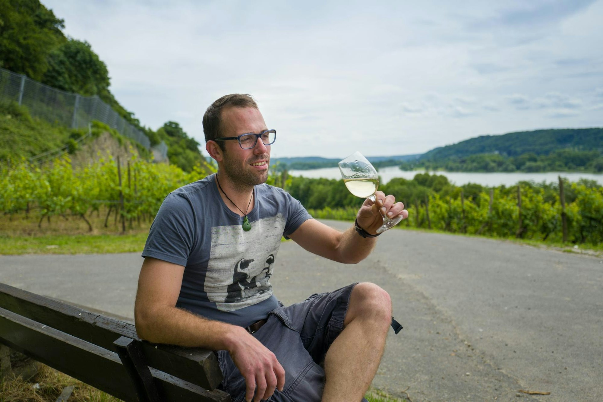 Wein am Rhein3