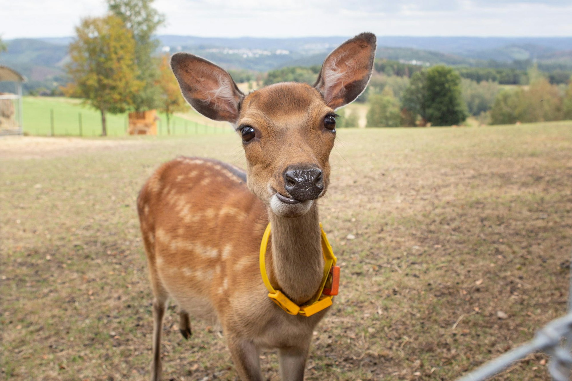 Besuch-Weissrussland-gie-001