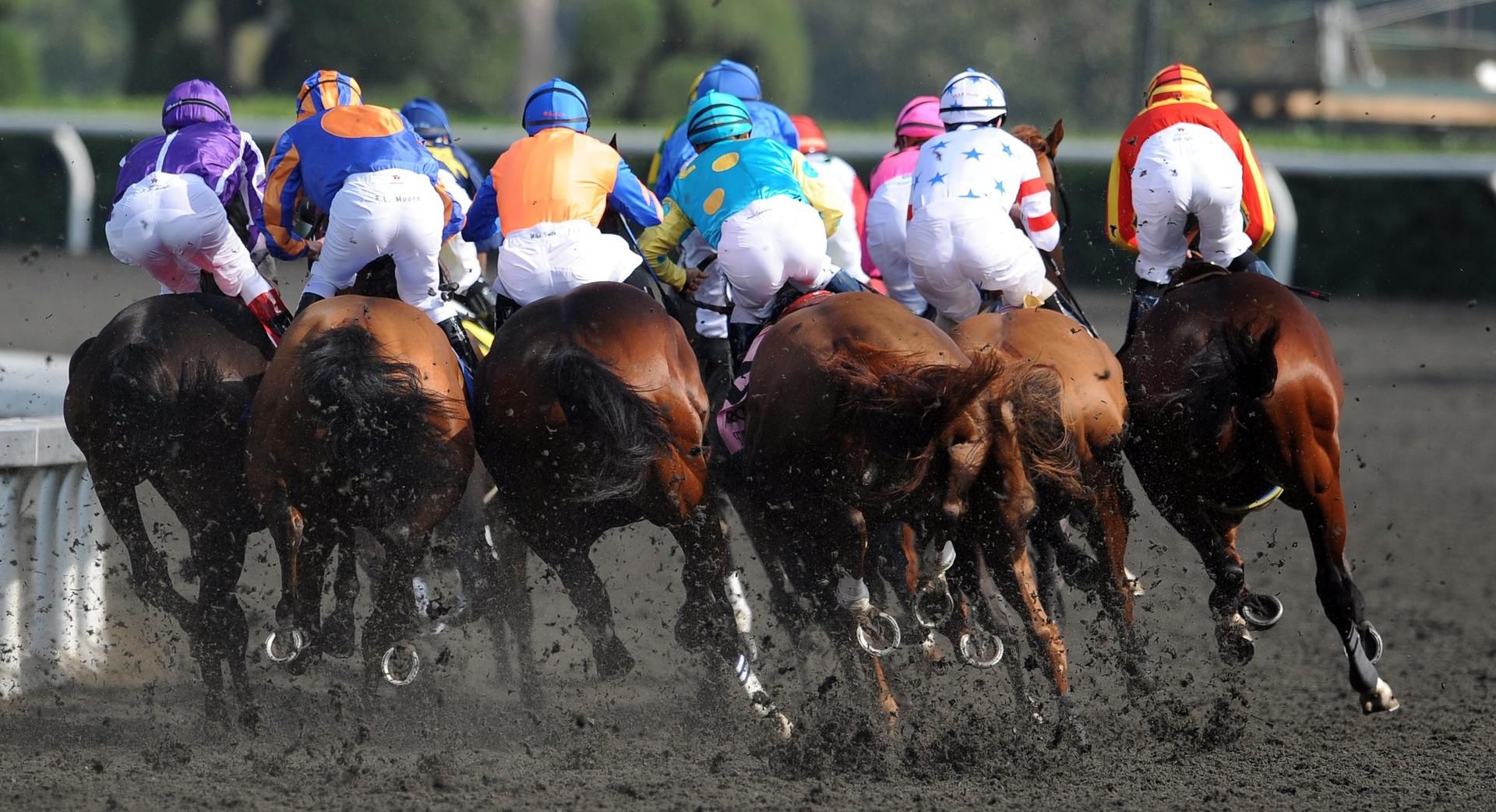 Santa Anita Park DPA 031119