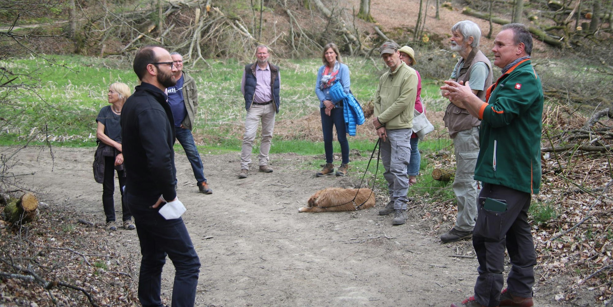 Durchforstung_Naafbachtal