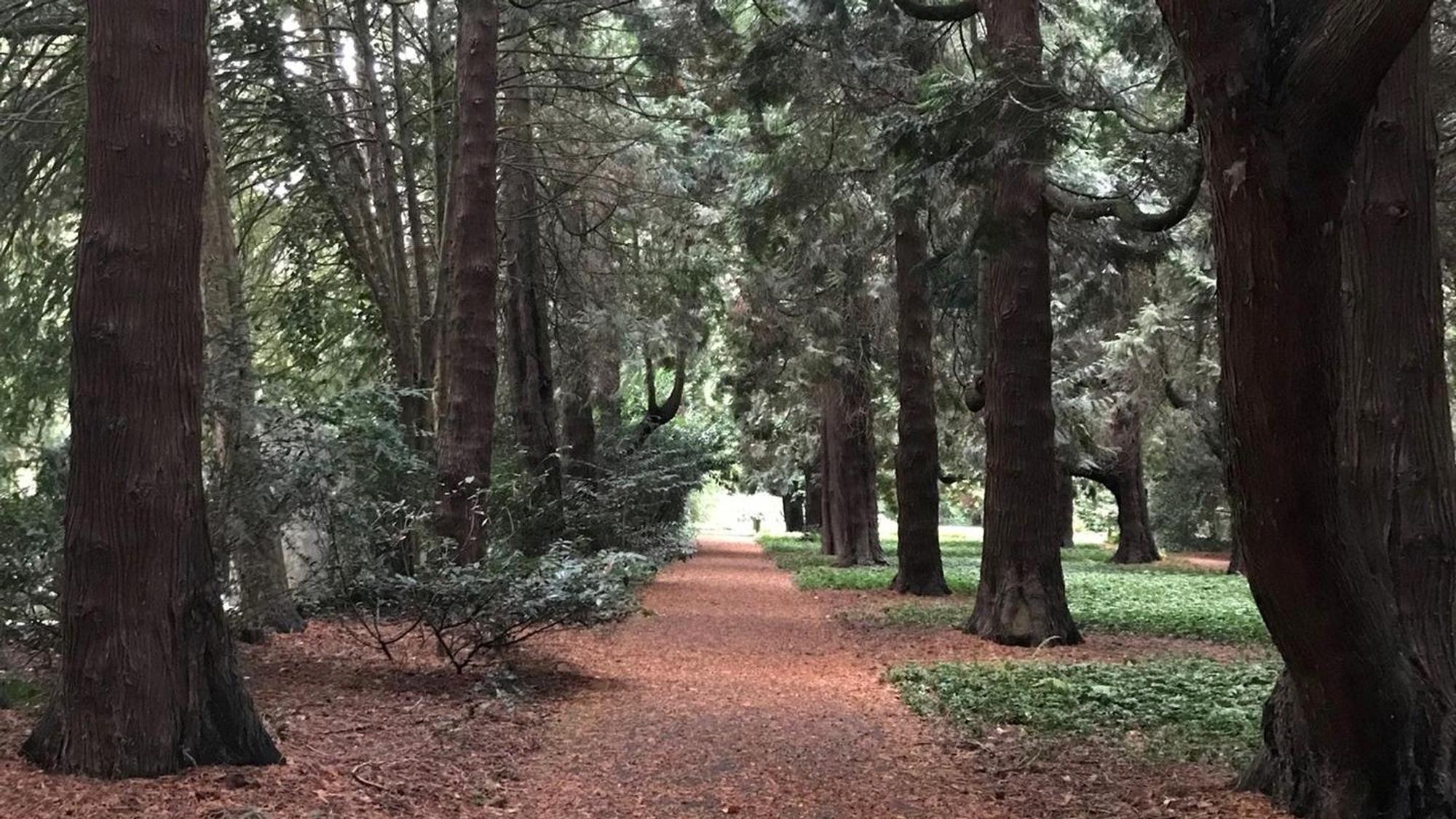 Allee