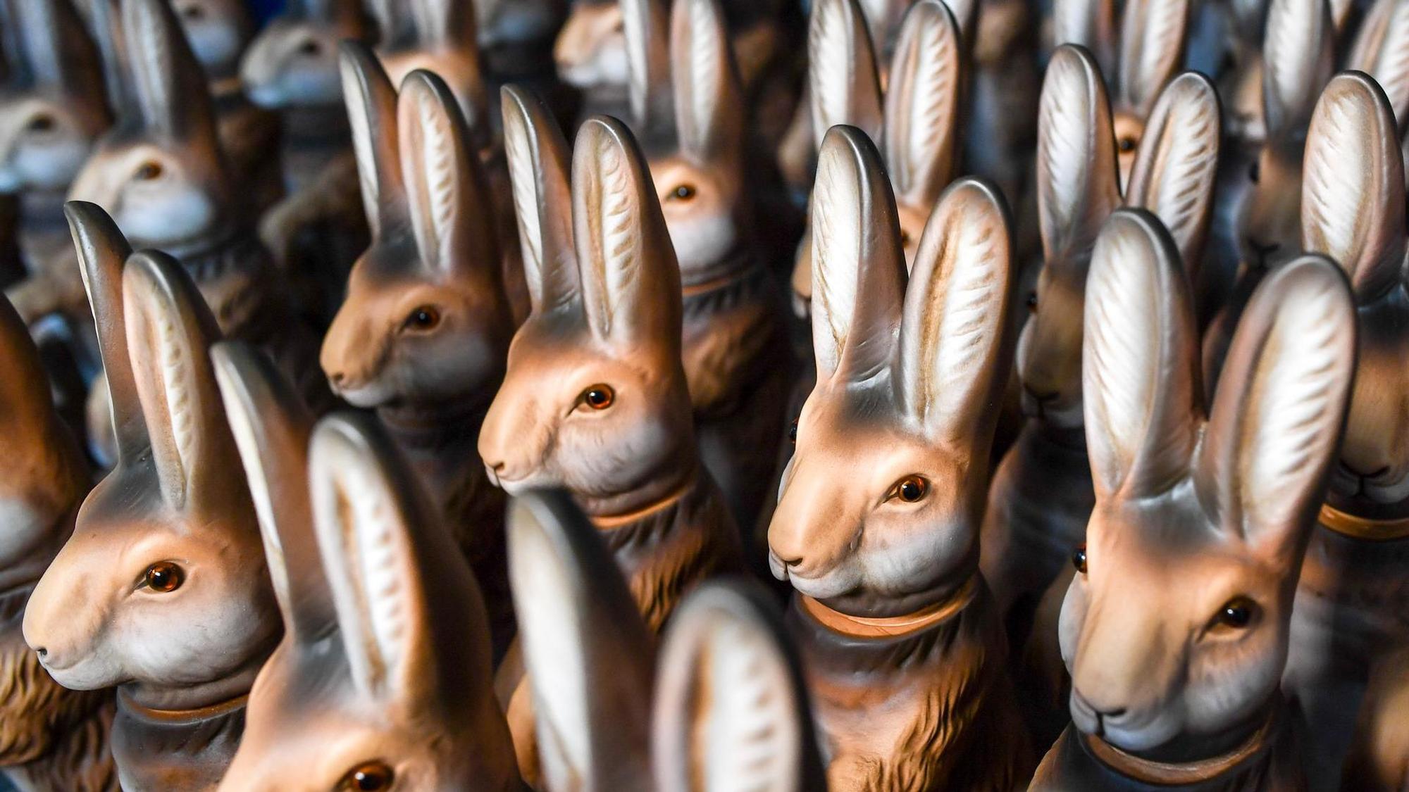 Osterhase