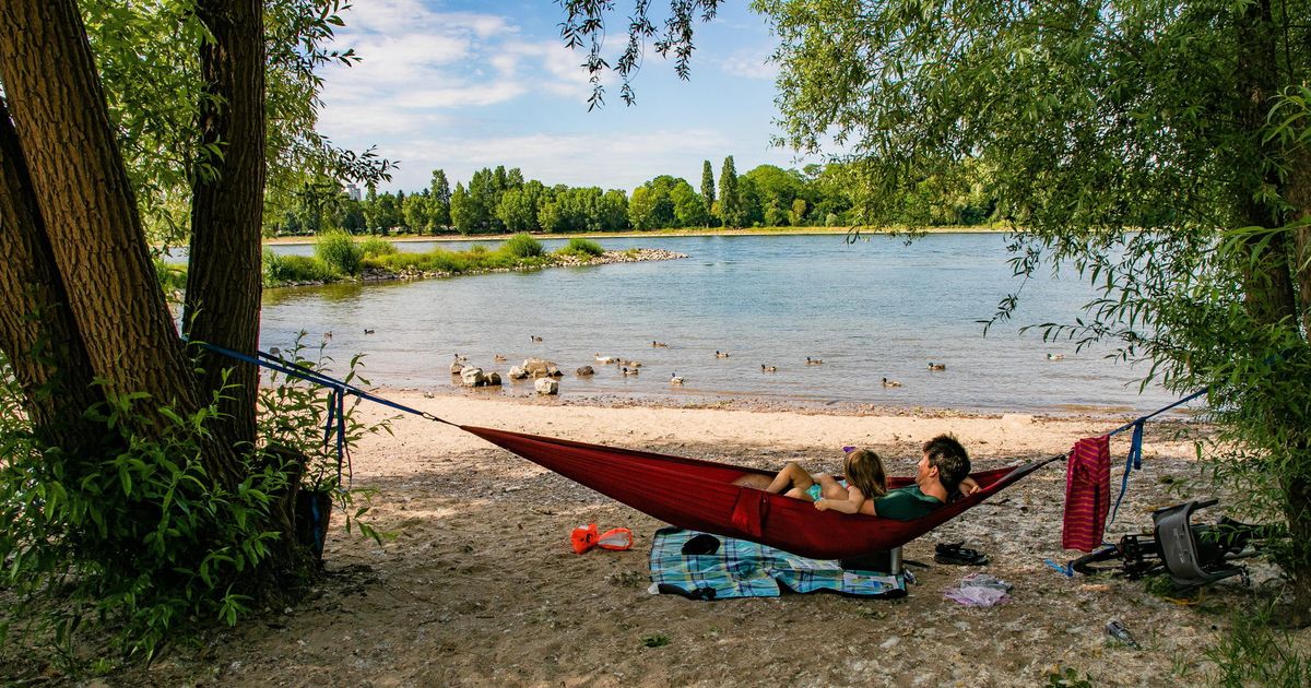 Urlaub an der Rodenkirchener Riviera: Mit der Linie 16 in die Karibik ...