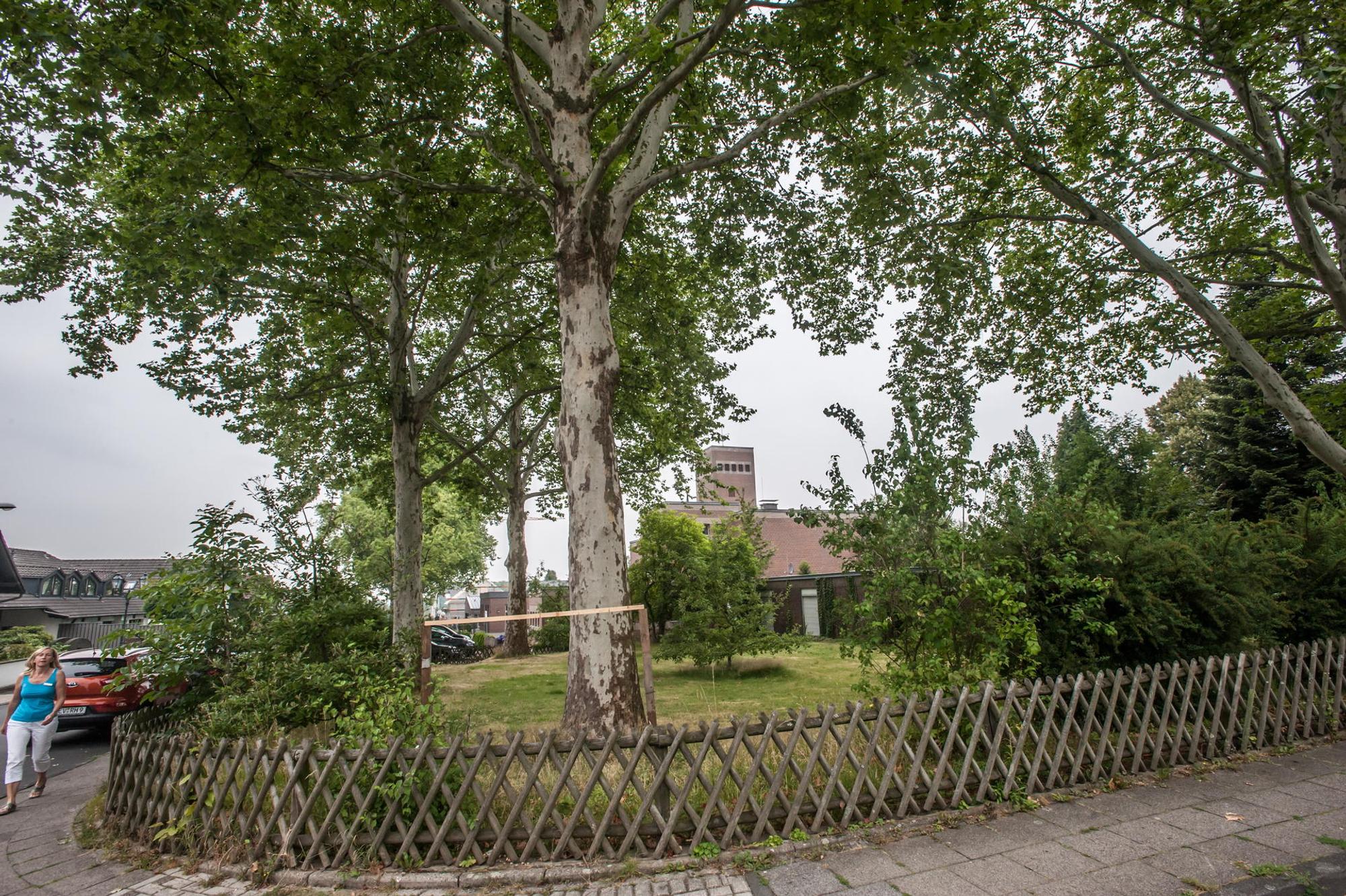 leverkusen-berg-neukirchen-kirchengrundstueck--ALF_2690