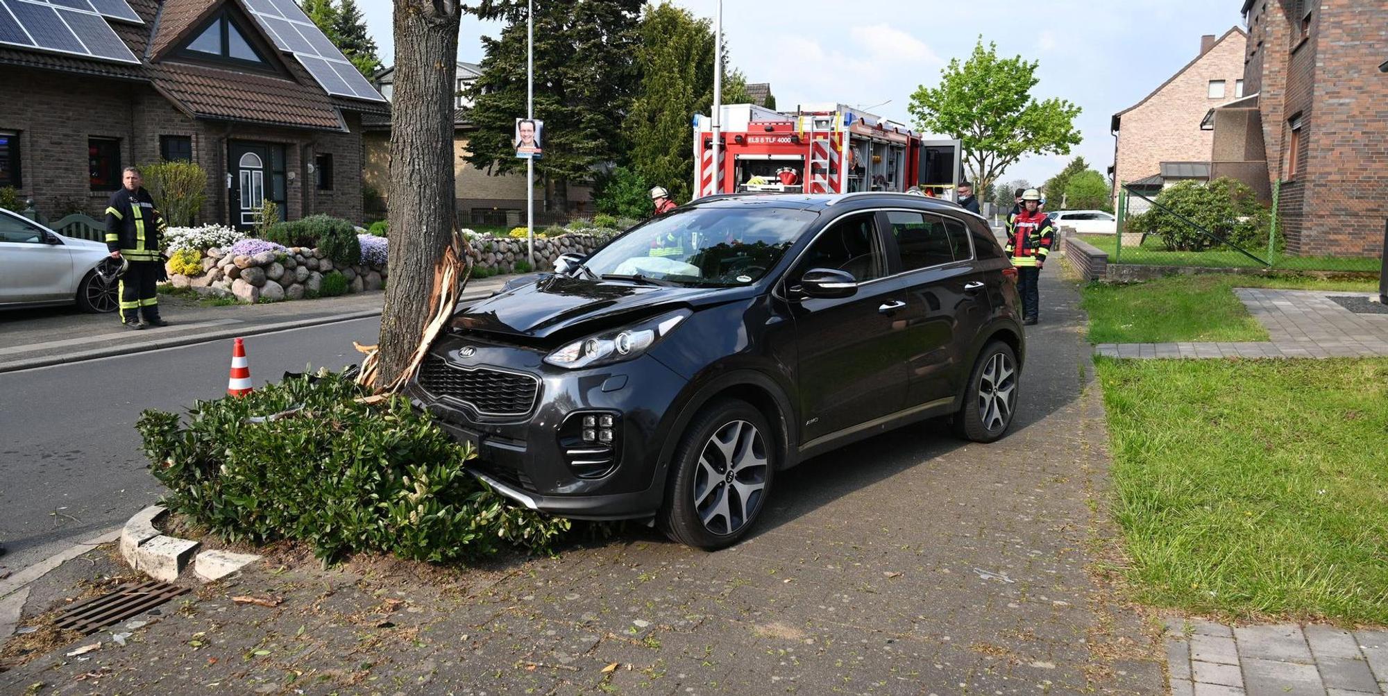 Unfall Elsdorf Baum