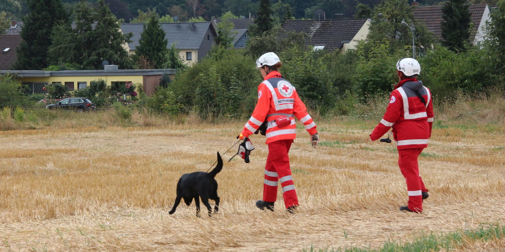 suchaktion-katzvey-129