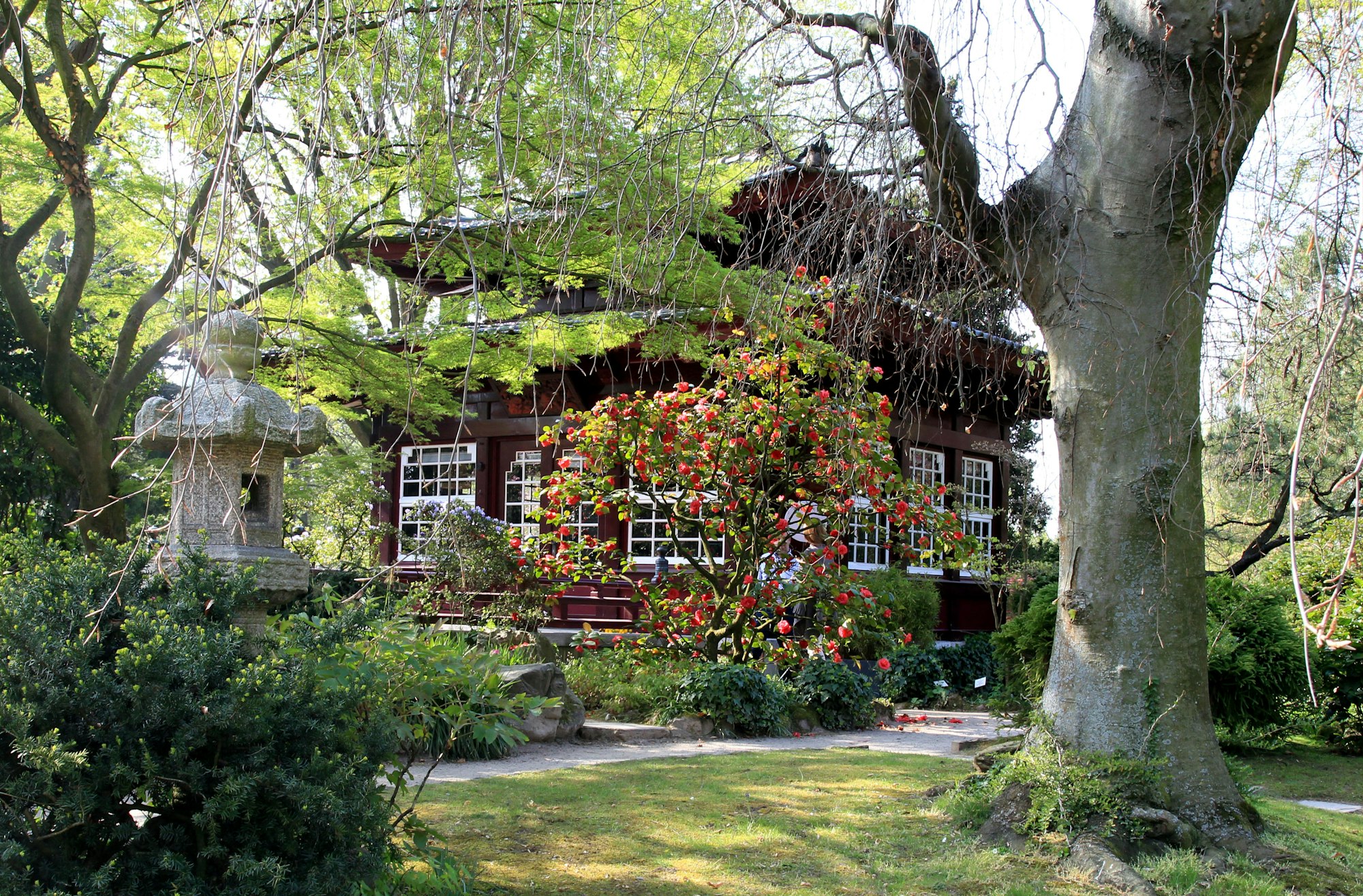 MDS-KSTA-2015-04-29-20150422max-japgarten49