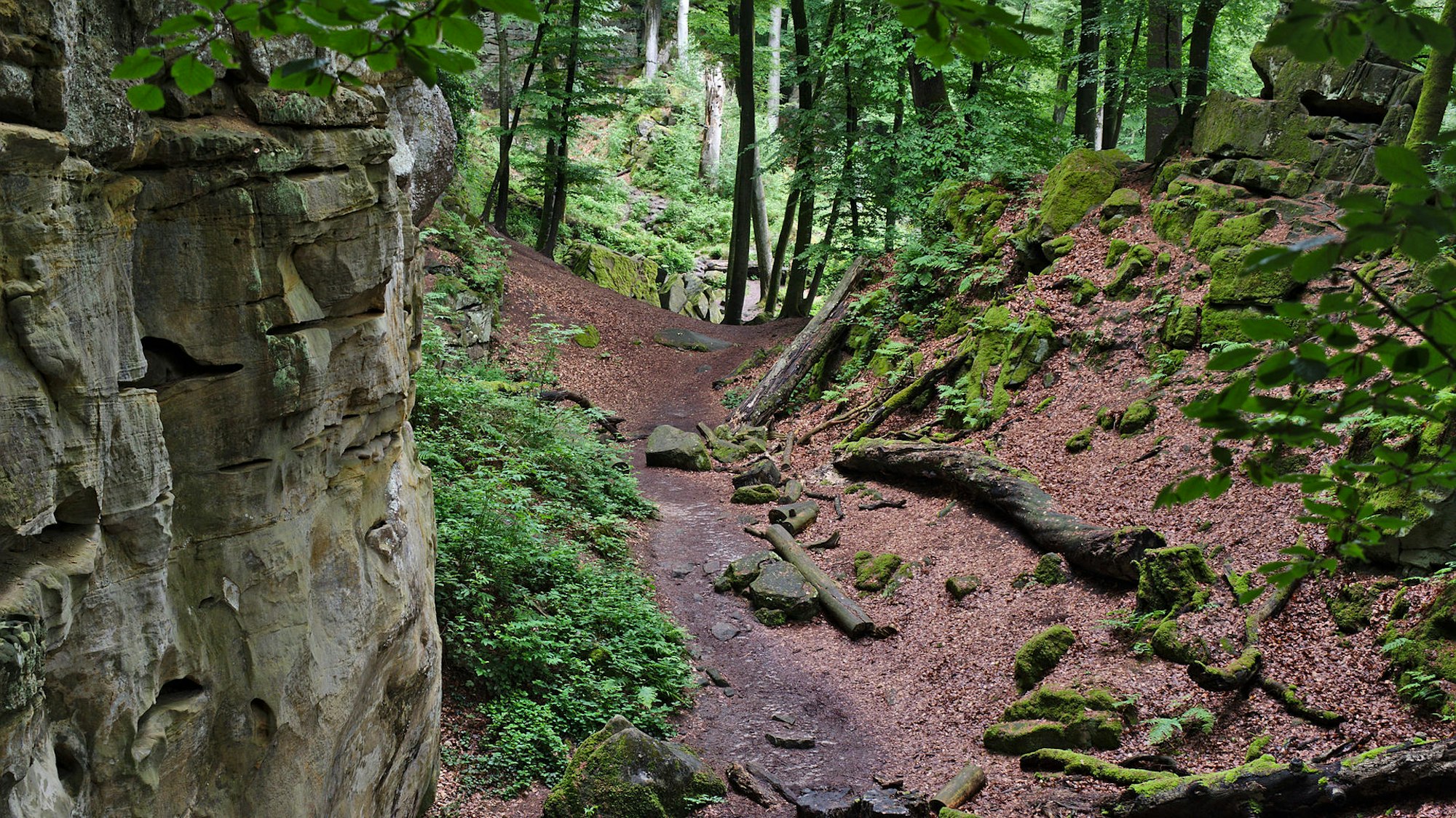 Teuflisch schöne Felsen und viel Natur rund um die Teufelsschlucht.