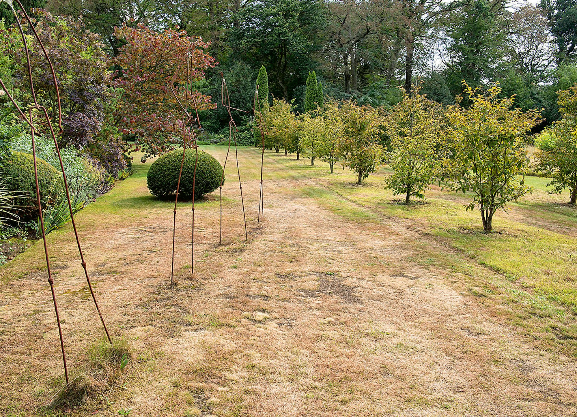 Garten Profitipps