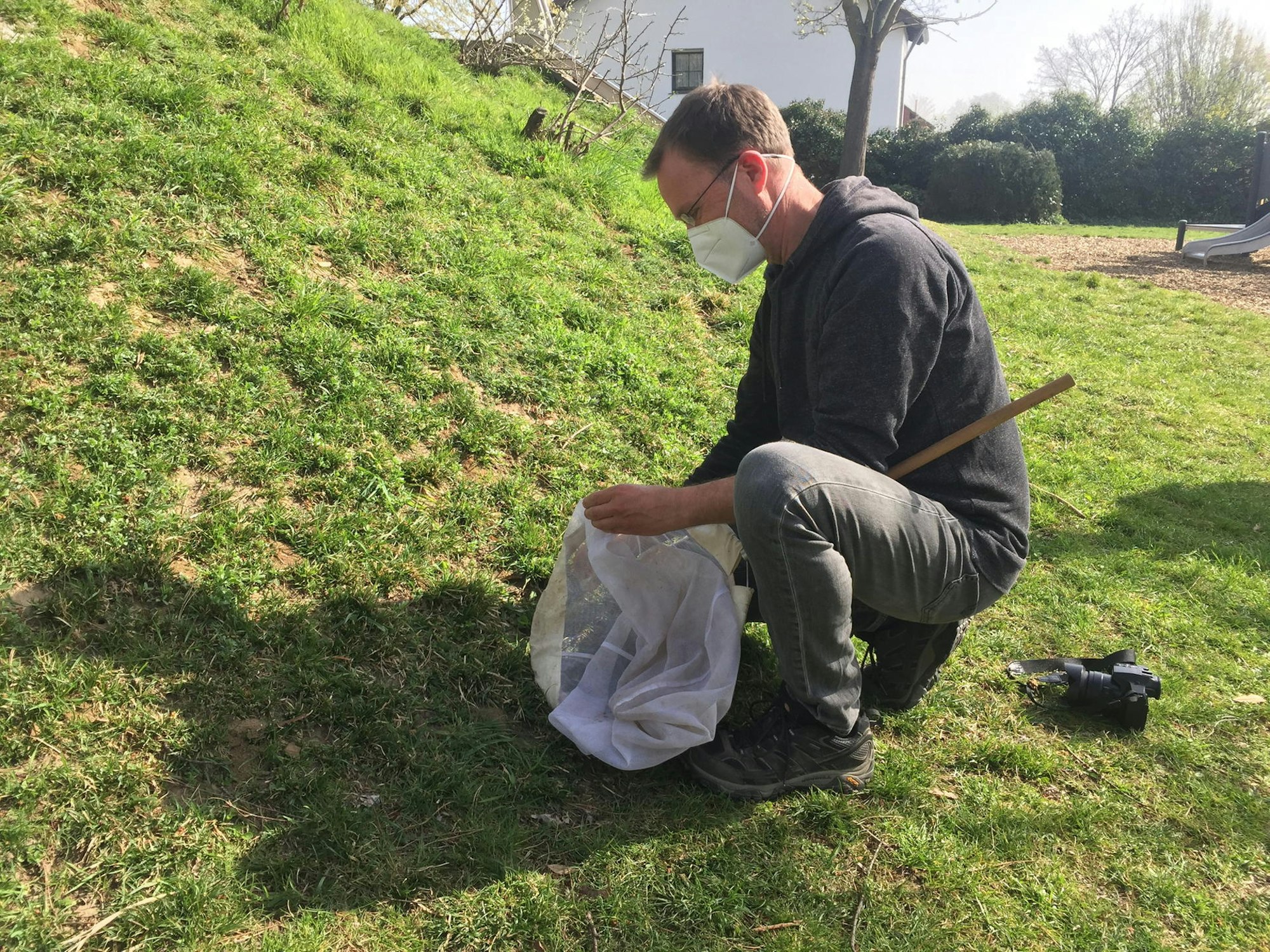 Bergheim_Glessen_Bienen_Honiggassse_(2)