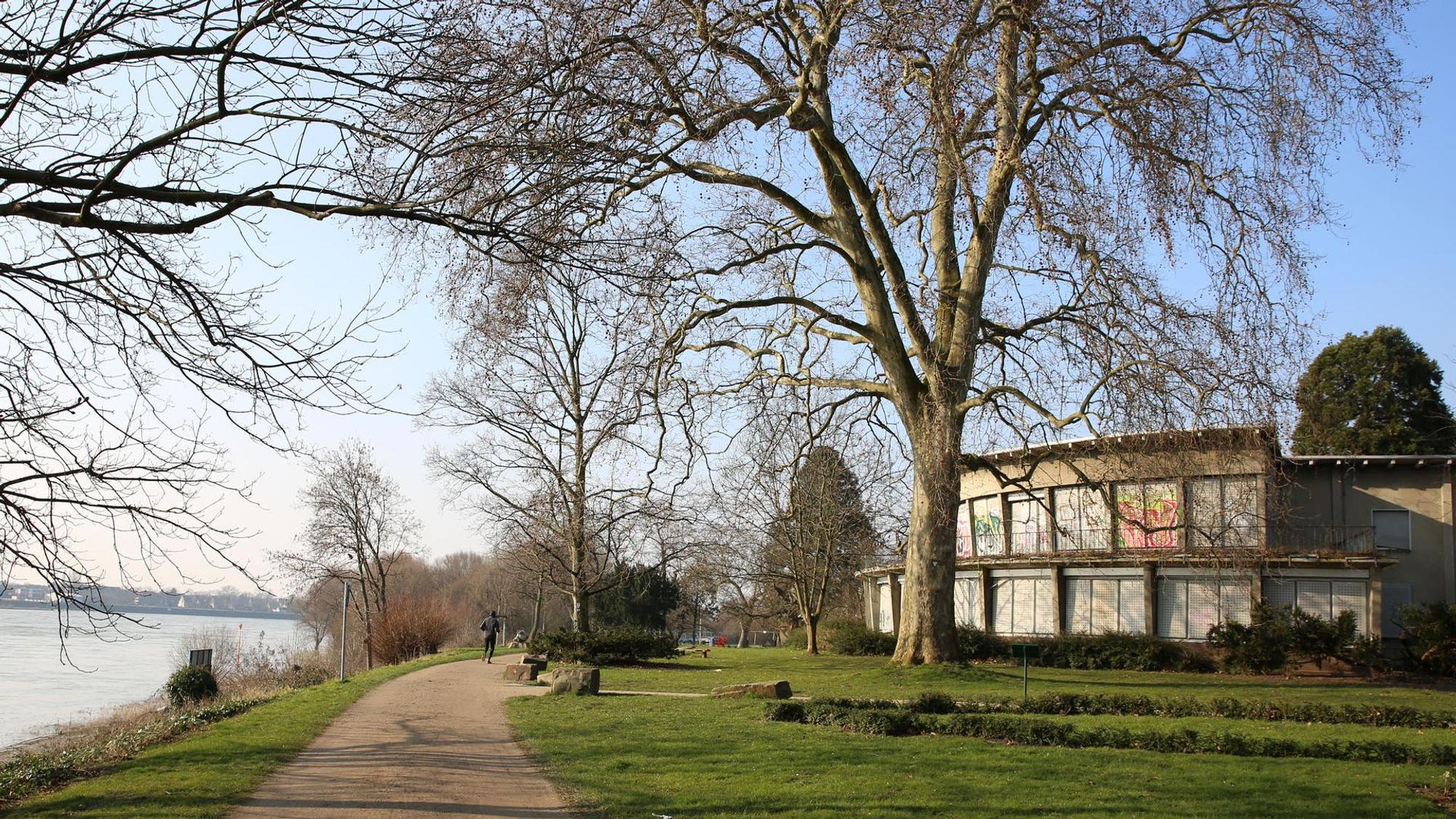 Weg am Rheinufer
