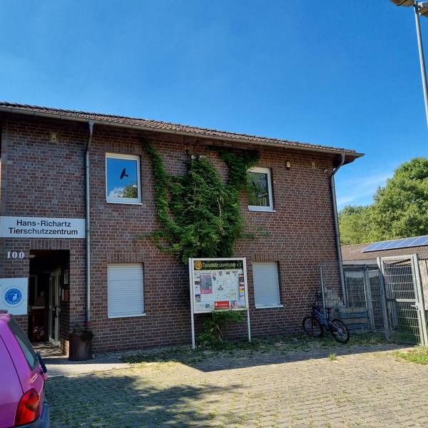 Neuer Inhalt