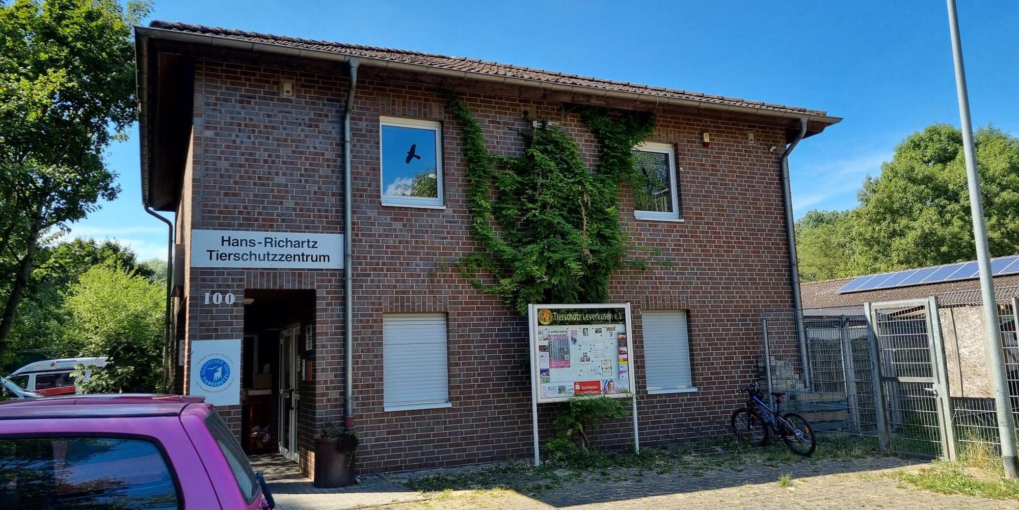 Neuer Inhalt