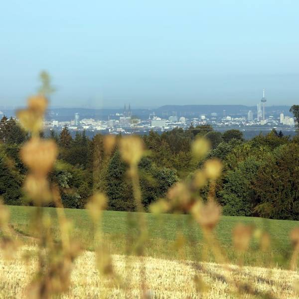GL_Koeln-Panorama_Voisloehe_2615