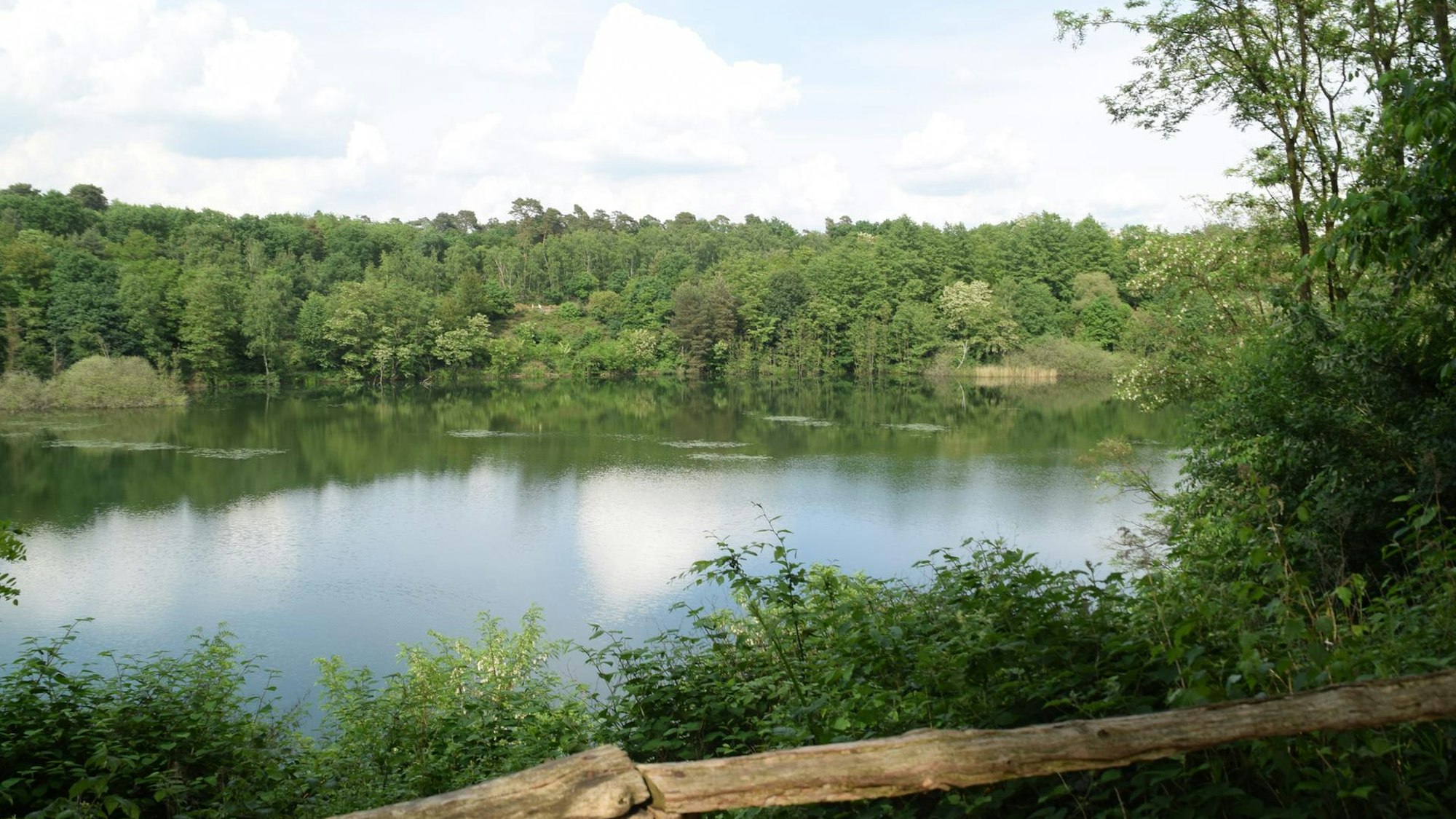 Blick auf einen See, der von Wald umgeben ist