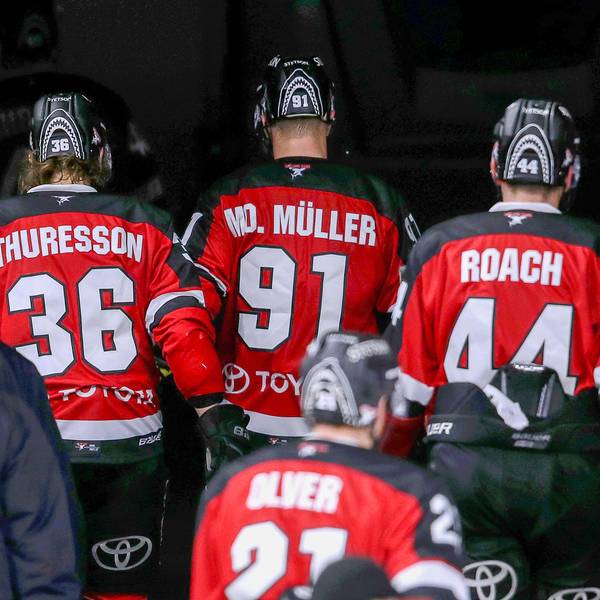 Kölner Haie 2