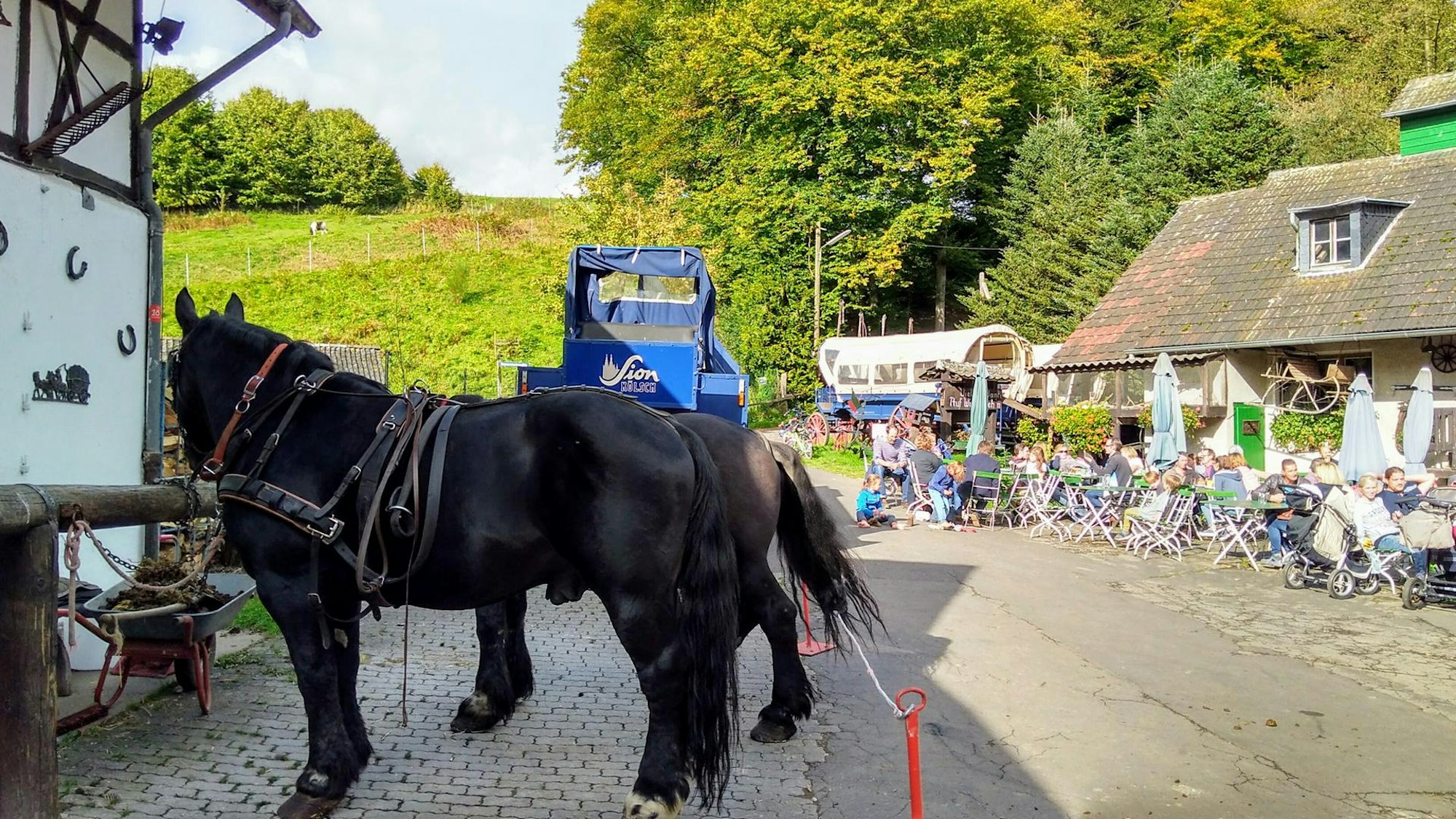 IMG_20171001_153953386_HDR