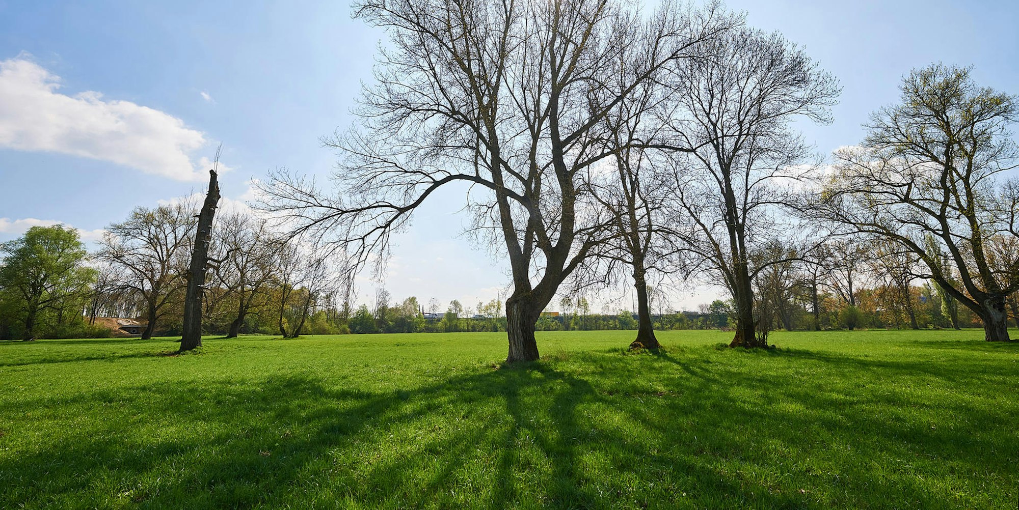 siegaue bonn