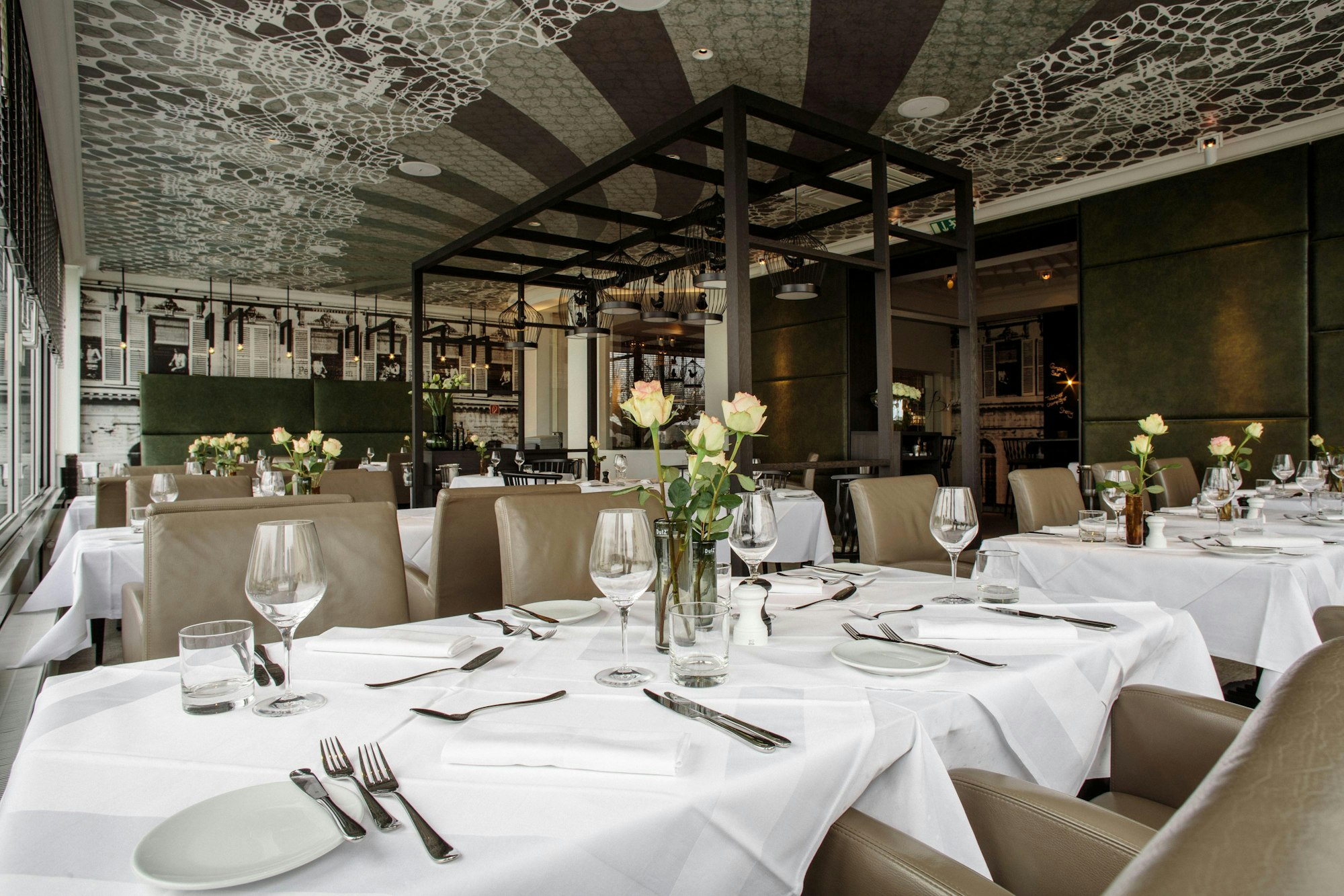 Gastro_Aura-