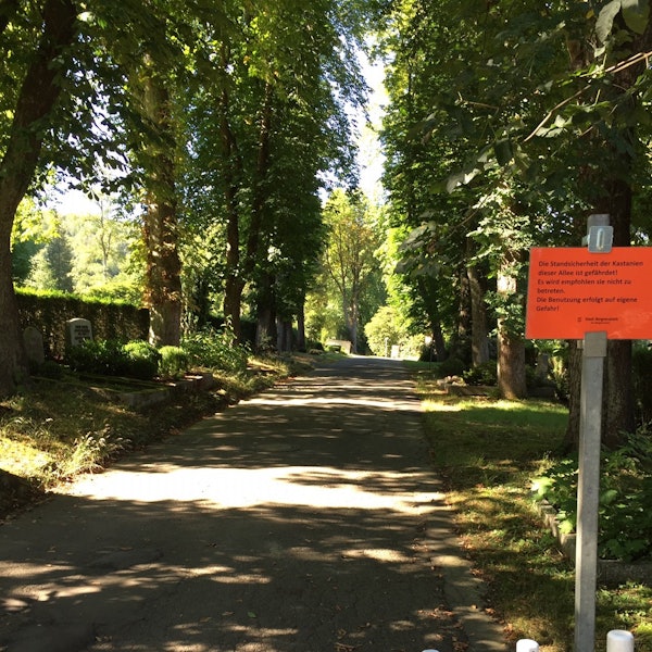 Foto_Friedhof_Bergneustadt_4