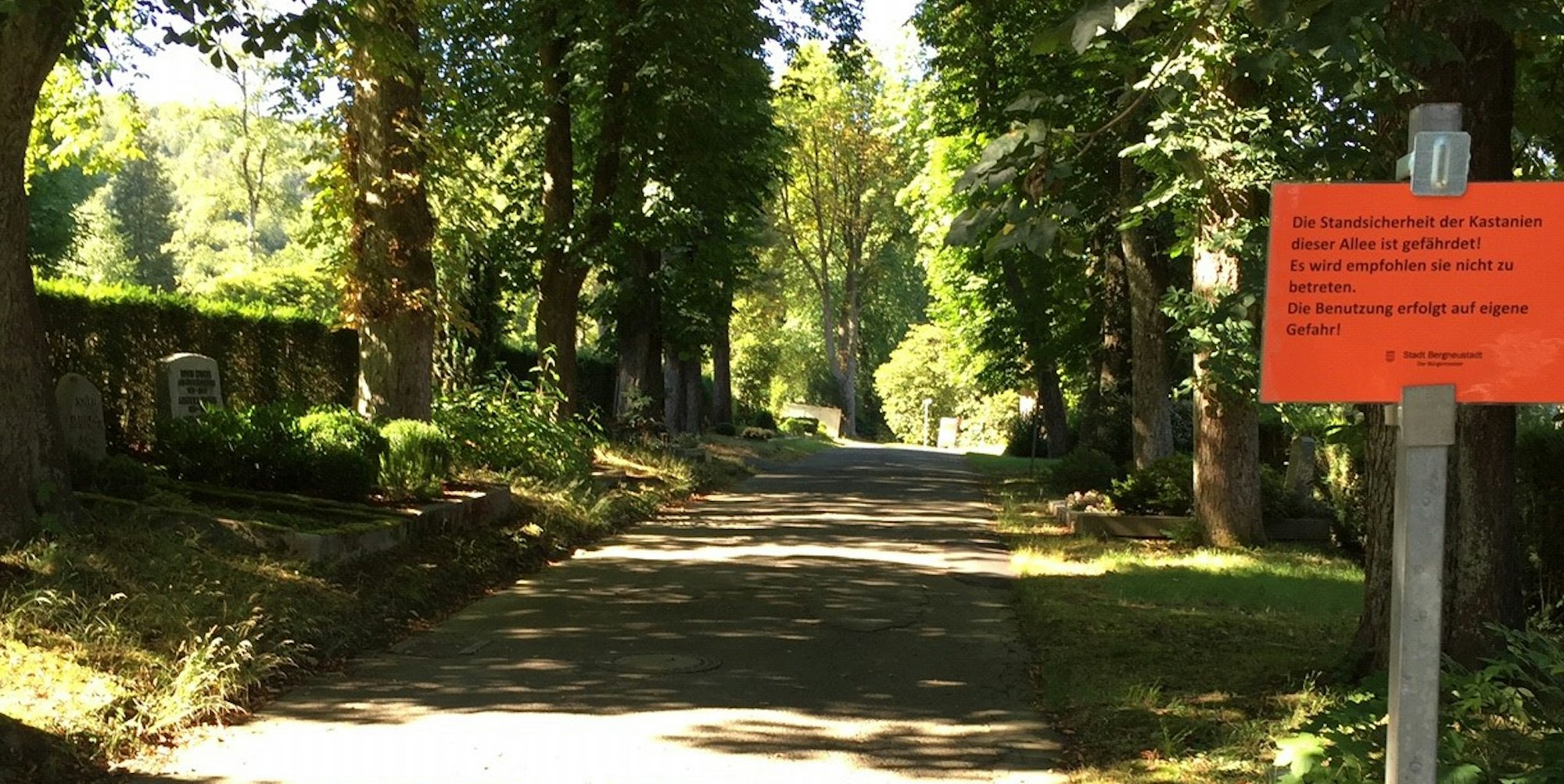 Foto_Friedhof_Bergneustadt_4
