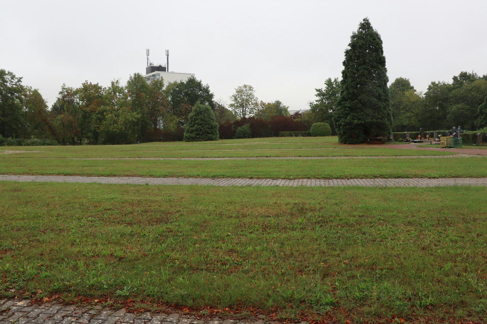 Wesseling Friedhofserwartungsland