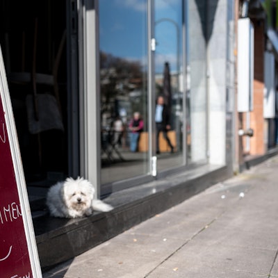 Coronavirus_Koeln_64765115