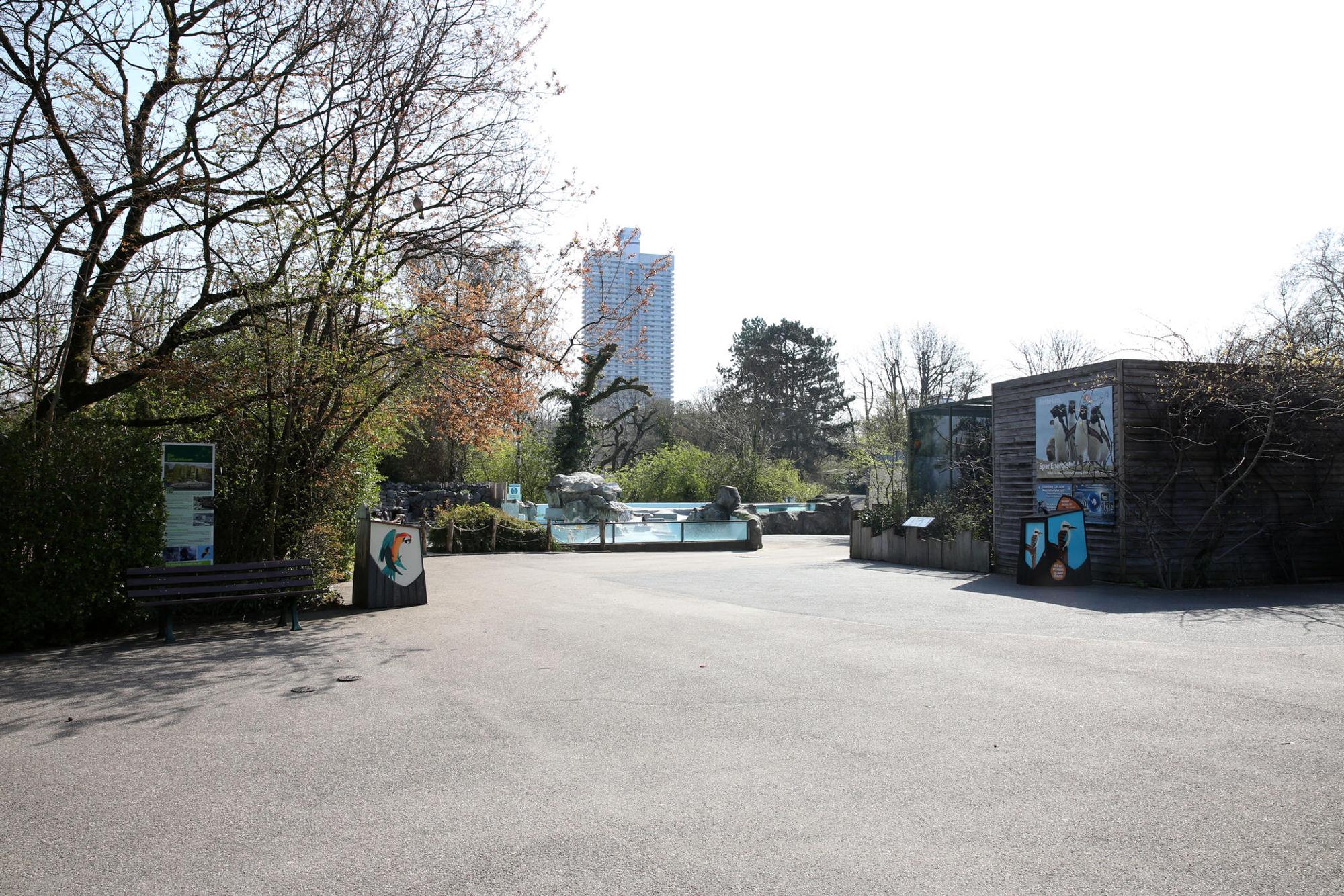 27032020_GeschlossenerZoo_24