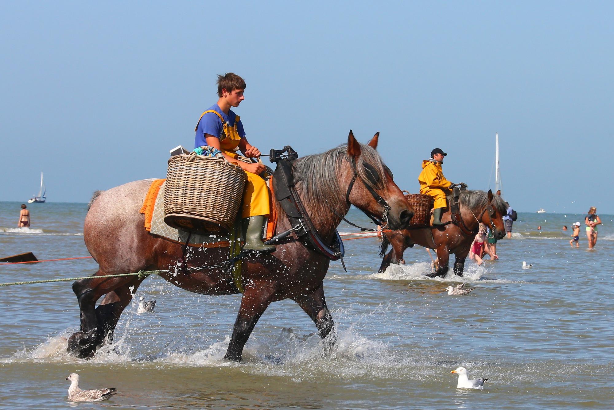 koksijde