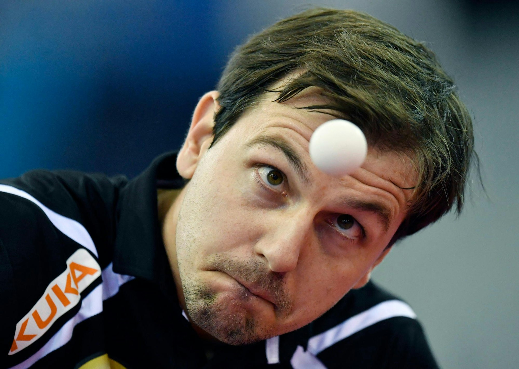 timo boll