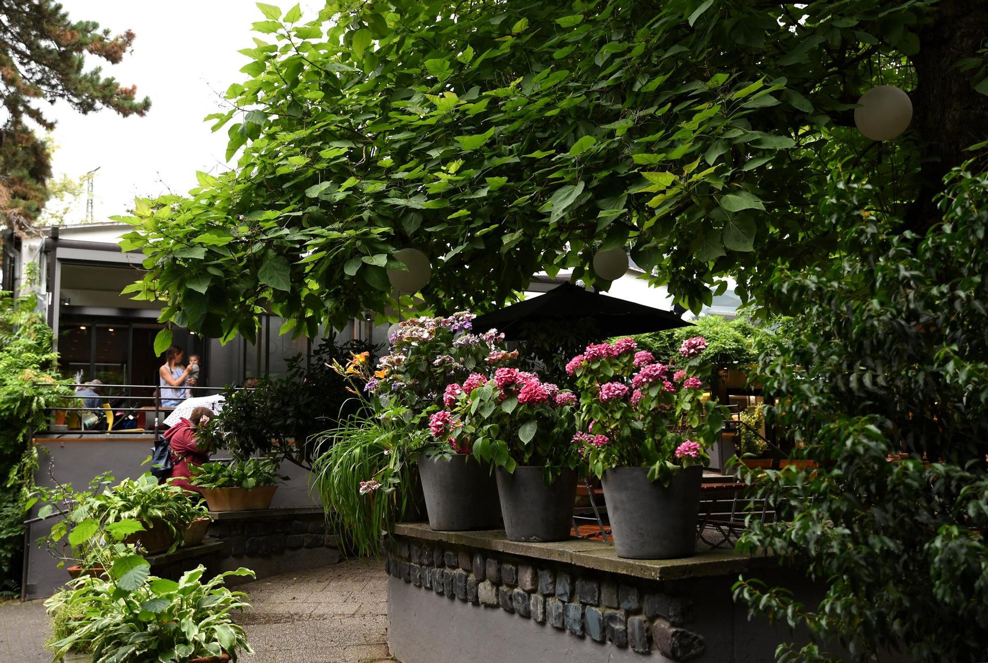 Stadtgarten Biergarten