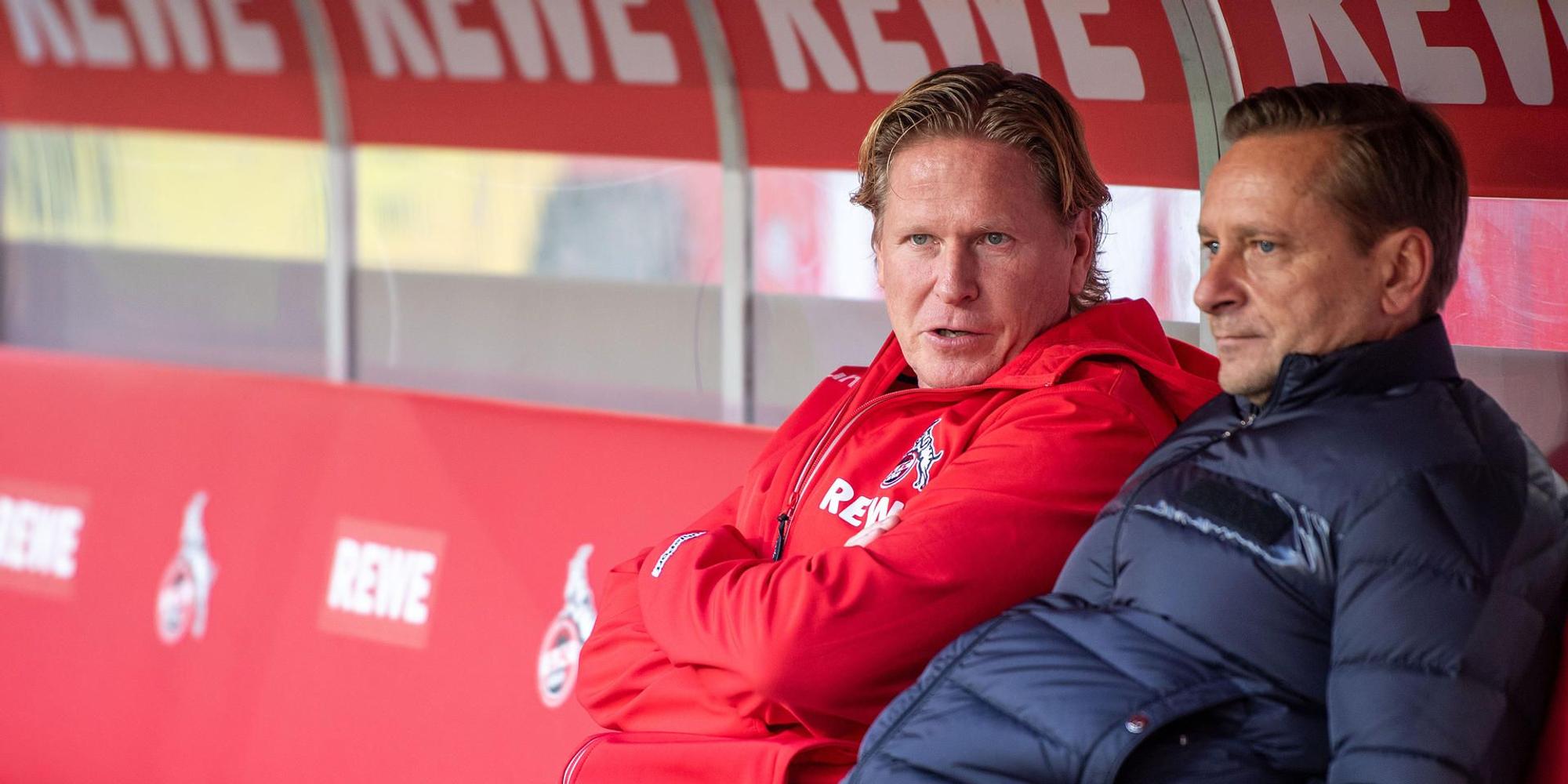 Gisdol Heldt