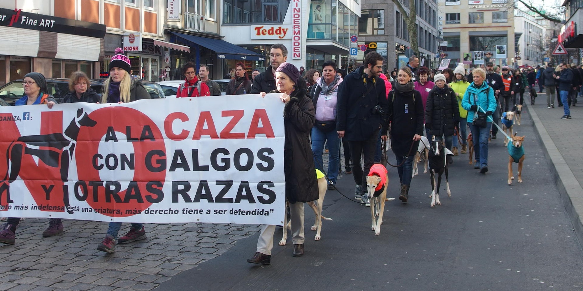 Galgo Demo1