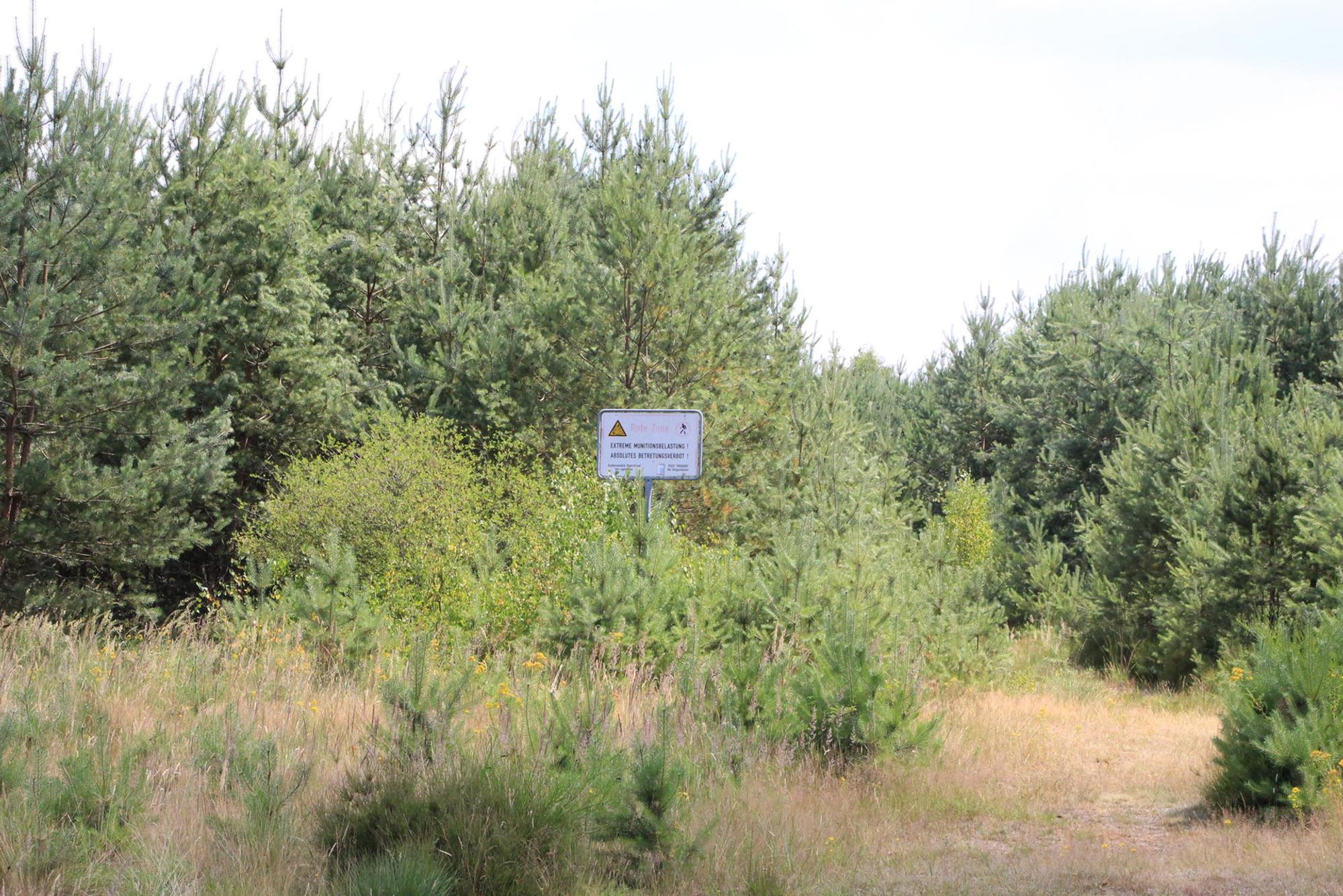 Wahner Heide 1