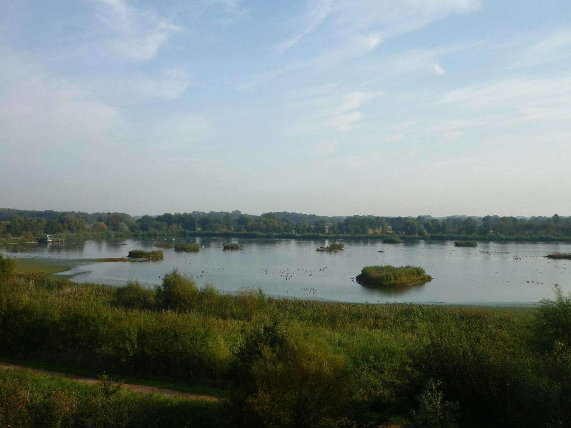 tier1_2015_05_18_EXP_MDS-EXP-2015-05-18-71-83948446