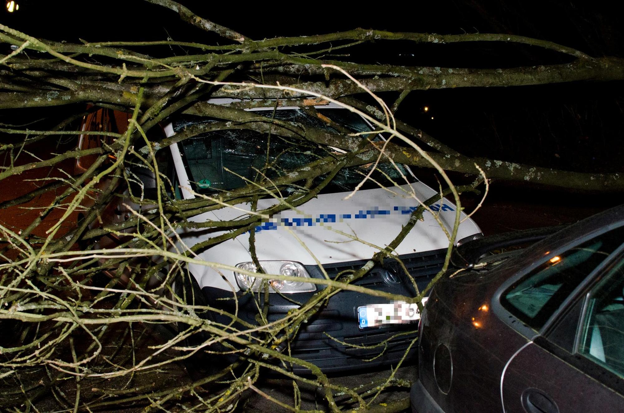 Sturm Lützenkirchen1