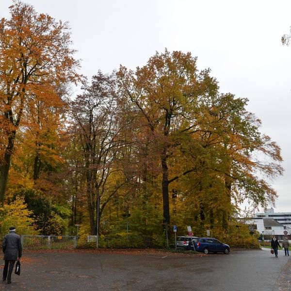Arlinghaus_Marien-Krankenhaus_Bergisch Gladbach_2