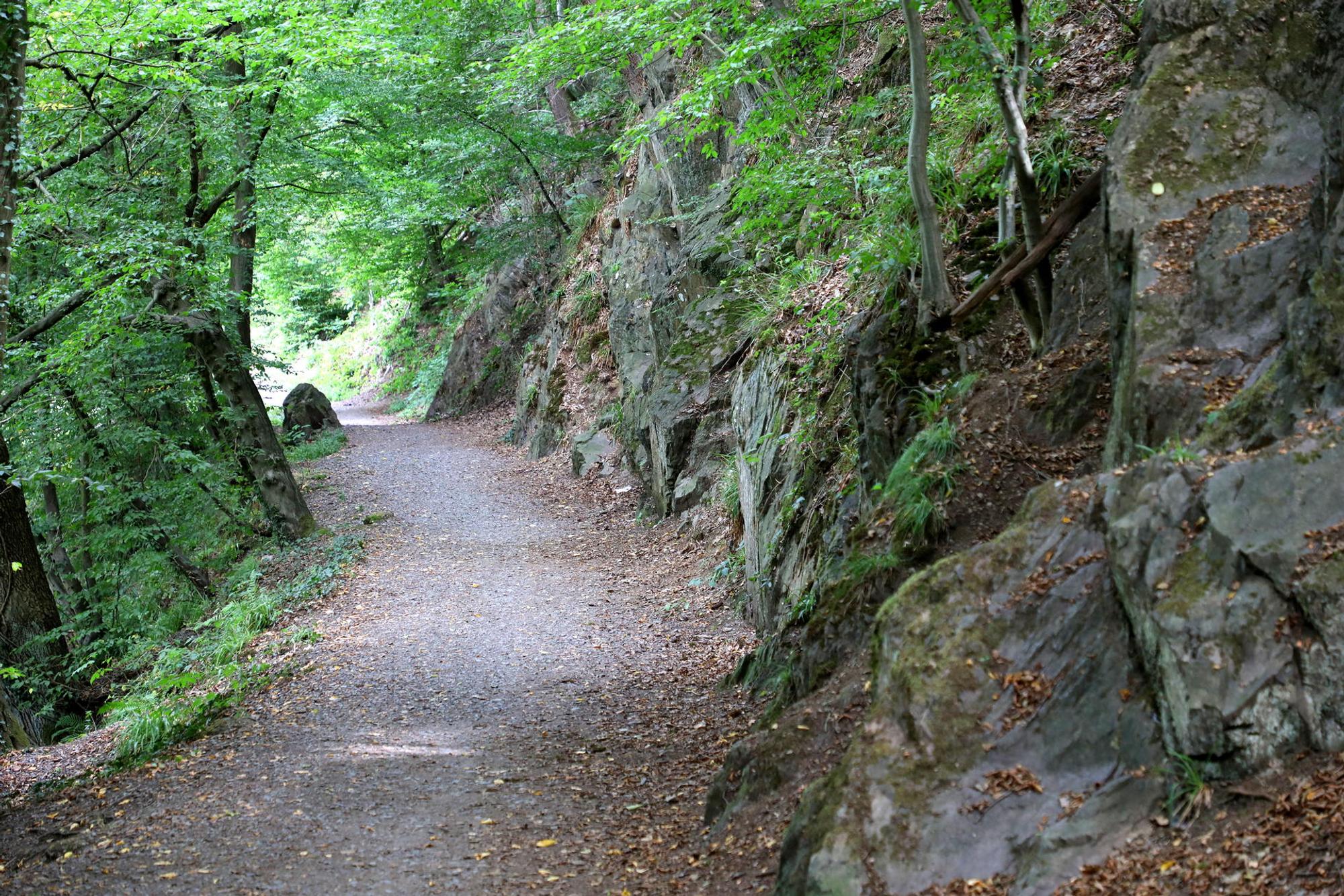 Schloss_Burg-Muengsten_9778