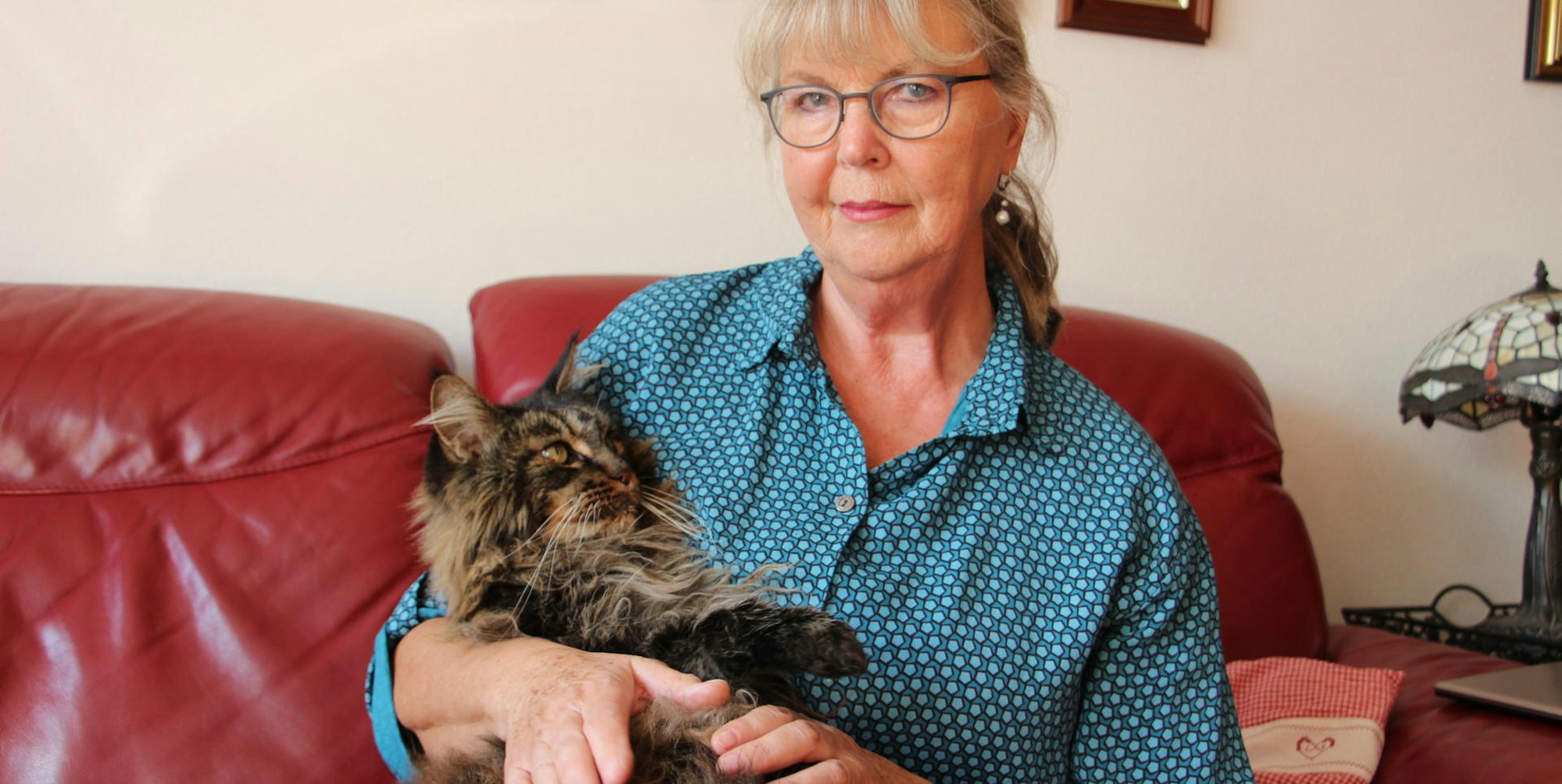 Katze Waltraud Schragen