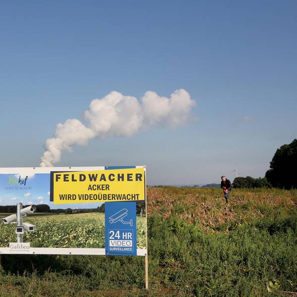 Neuer Inhalt
