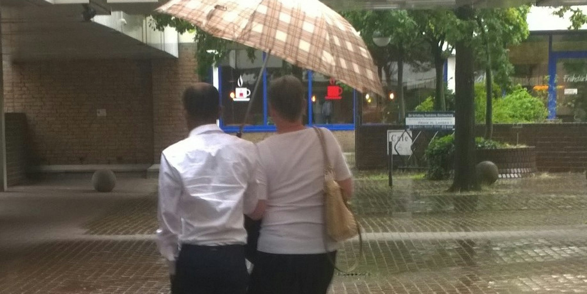 WP_20170801_10_35_27_Pro (1)