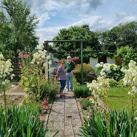 1JahrFlut_Lev_Ruhlach_Kleingarten (2)